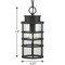 Progress Lighting Port Royal Collection One-Light Hanging Lantern with DURASHIELD P550061-031 - alternate 7